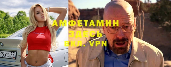 стаф Аркадак