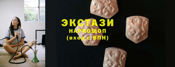 стаф Аркадак