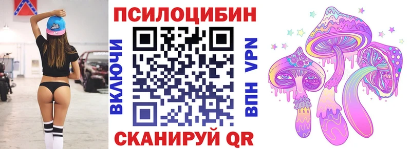 где найти   Константиновск  Псилоцибиновые грибы Psilocybine cubensis 